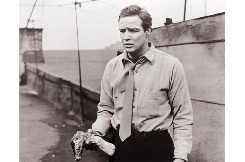 On the Waterfront - die Faust im Nacken (1954): Mit einer Taube in der Hand lockt Terry (Marlon Brando) seinen Freund Joey Doyle aufs Dach, wo zwei korrupte Hafenarbeiter auf ihn warten: Joey wird vom Dach gestoßen. (c) Marlon Brando - Eine Hommage in Fotografien
