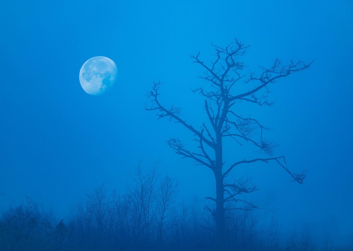 Blue Moon