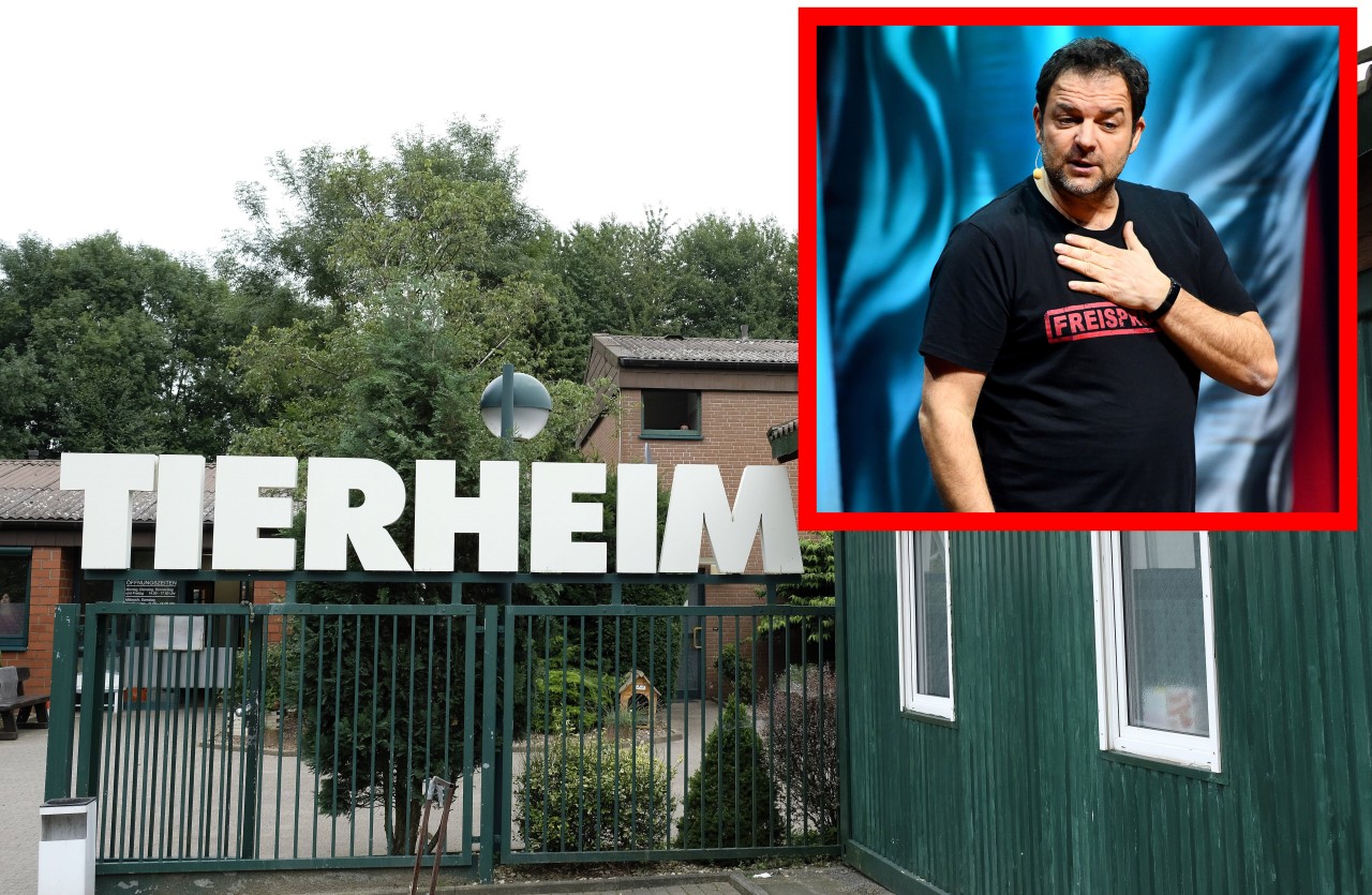 Tierheim Bochum bei Vox: Martin Rütter spricht eine eindeutige Empfehlung aus. (Symbolbild)