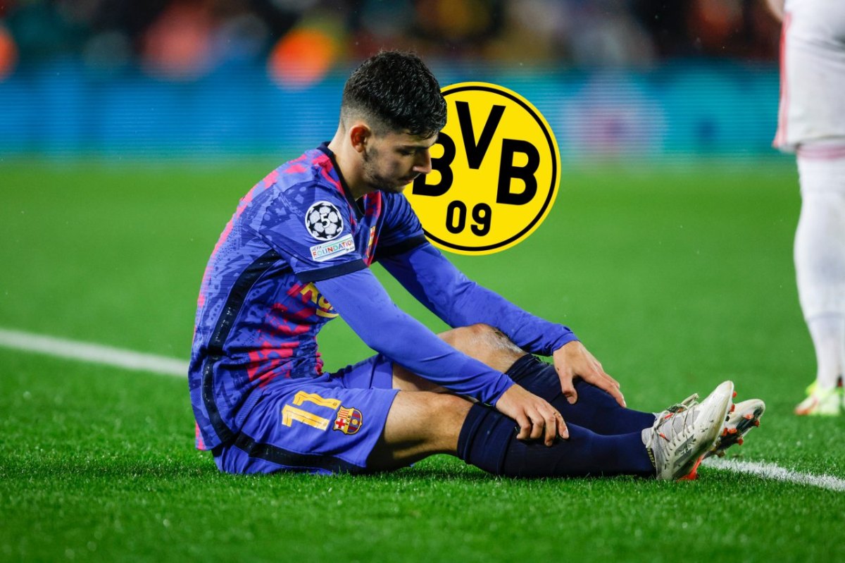 Borussia Dortmund Demir BVB