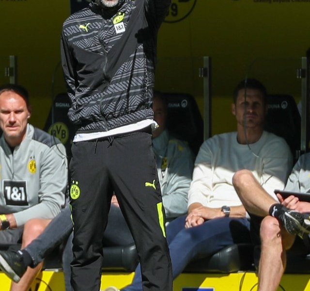 Borussia-Dortmund-Rose
