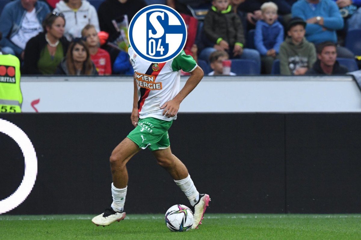 FC Schalke 04 Leo Greiml.jpg