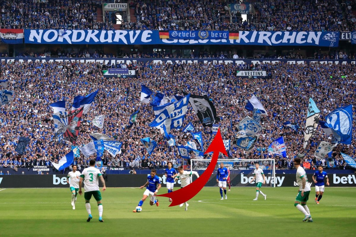 FC Schalke 04- Werder Bremen .jpg