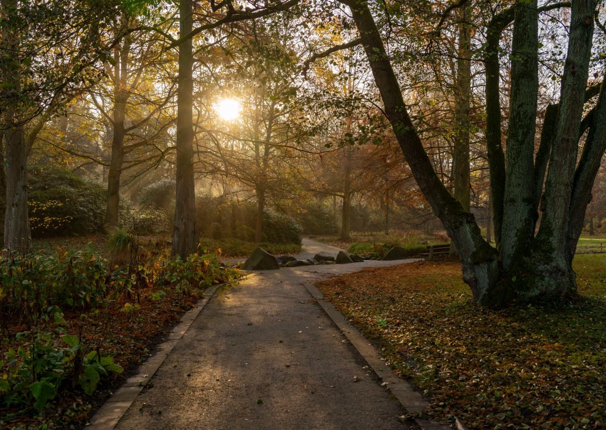 Grugapark-Essen.jpg