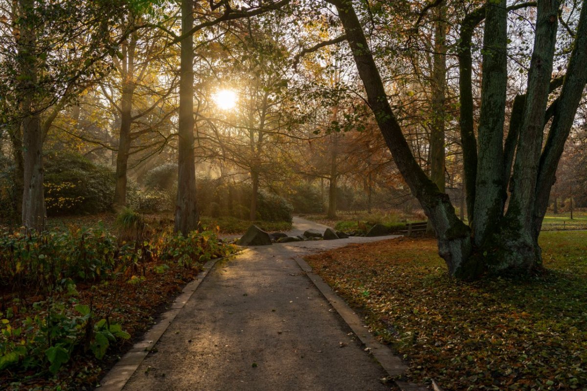 Grugapark-Essen.jpg