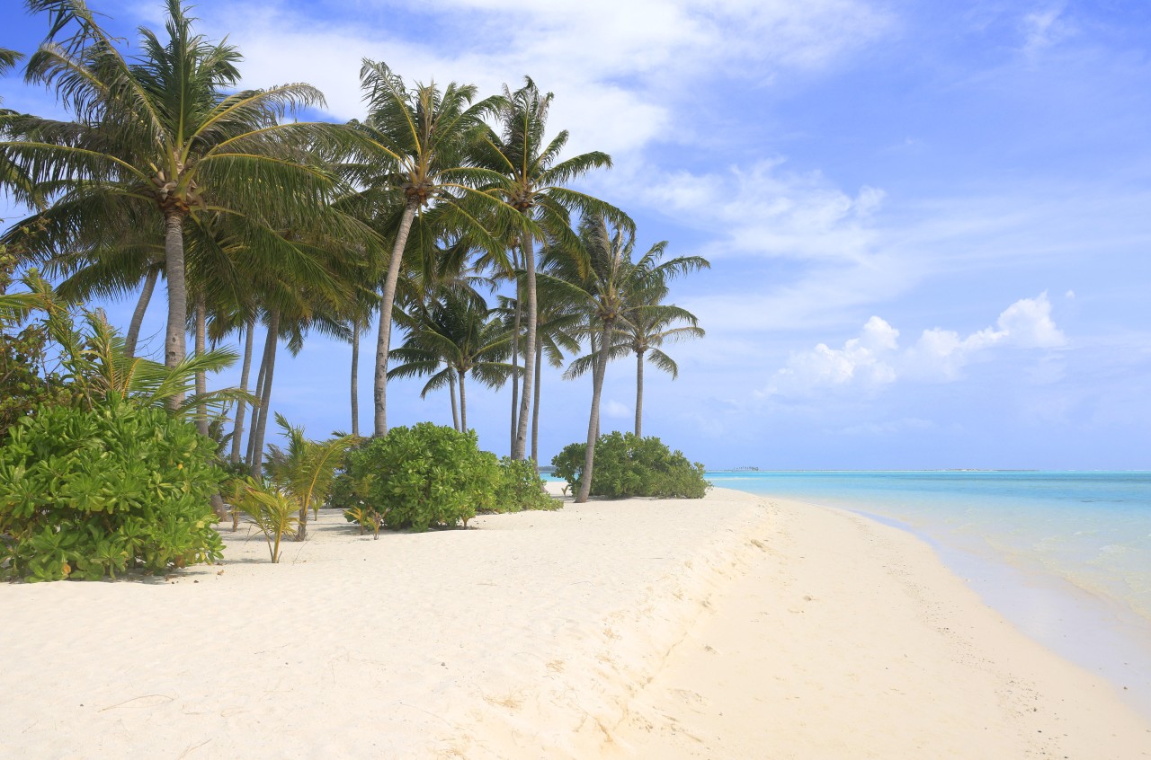 Die Malediven sind ein absolutes Urlaubs-Paradis. (Archivbild)