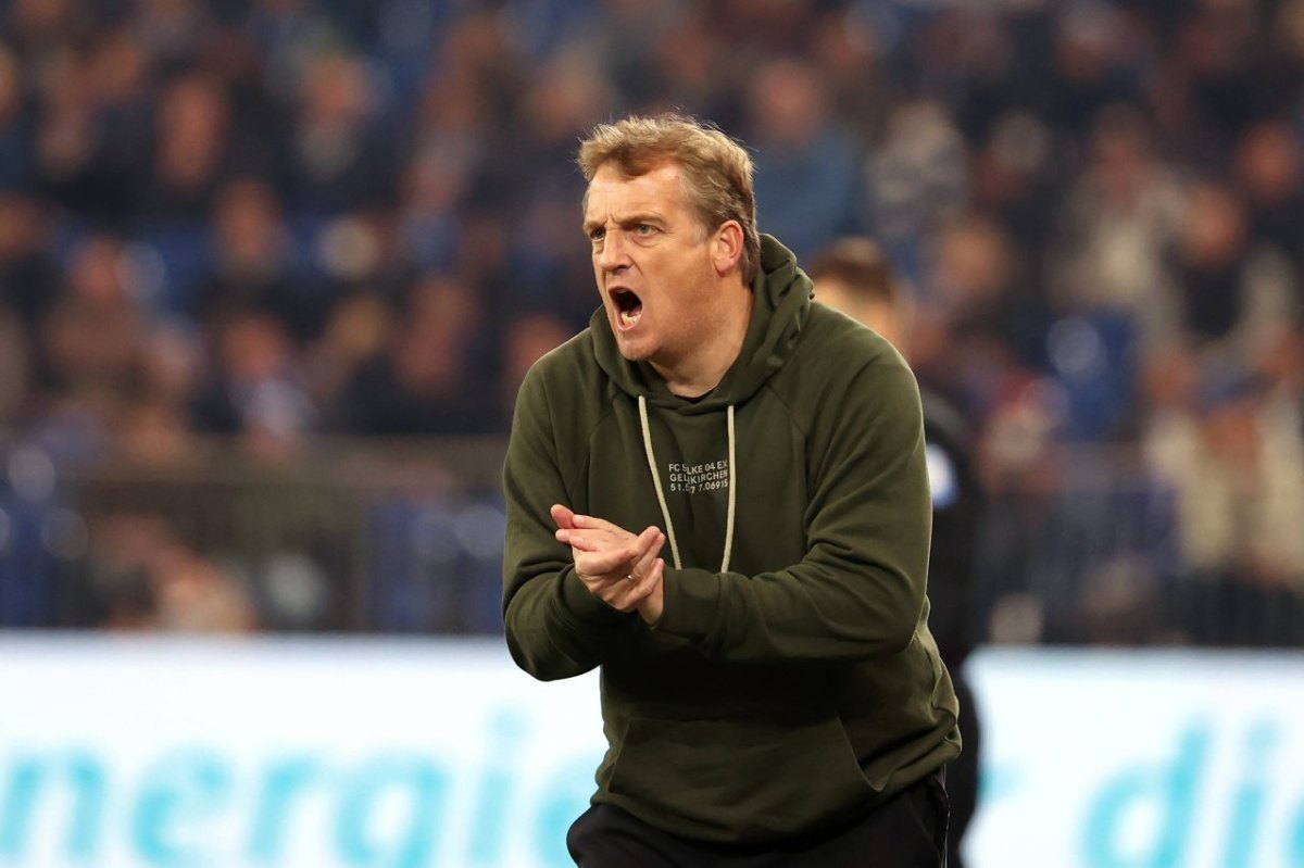 Mike Büskens FC Schalke 04