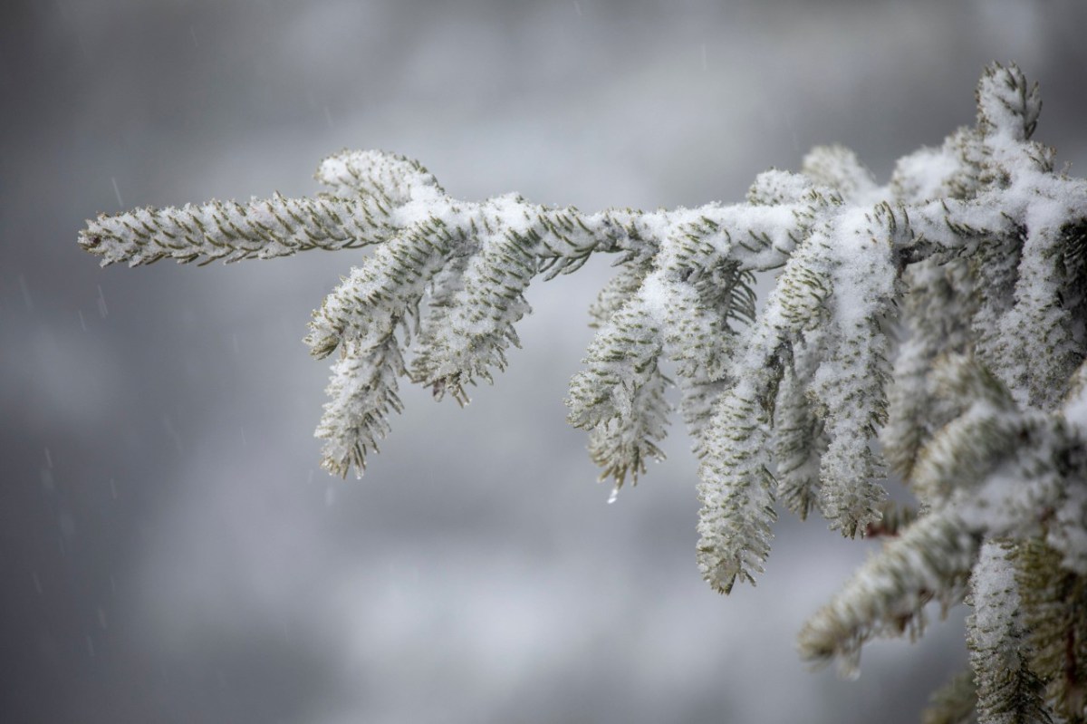 Wetter in NRW: Am Dienstag hatte es örtlich wieder geschneit. Und auch am Donnerstag droht erneut Schnee. (Symbolbild)