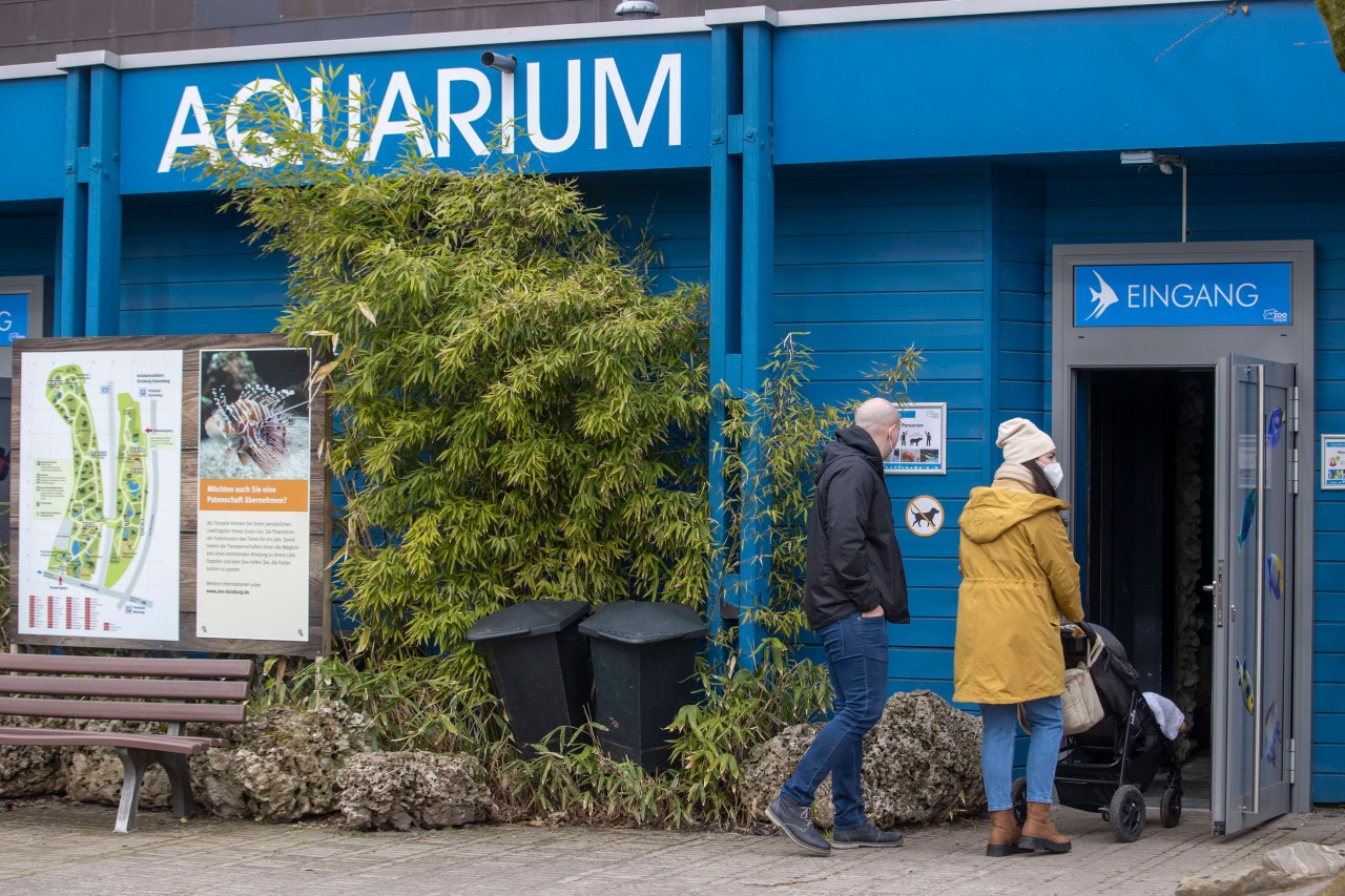 Zoo Duisburg: Die Maskenpflicht entfällt nicht überall. Das solltest du bei deinem nächsten Besuch beachten! (Archivbild)