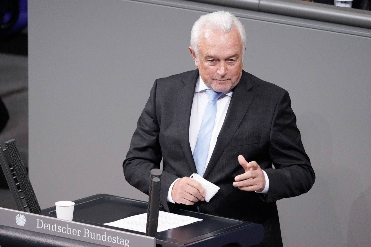 Wolfgang Kubicki (FDP). 