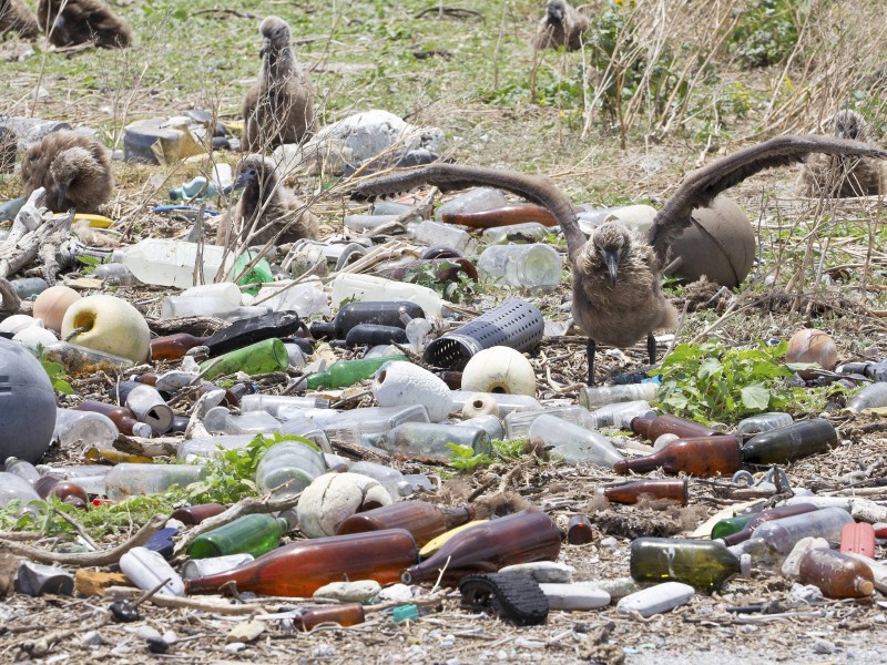 Überall auf der Welt sind die Folgen der Kunststoffgesellschaft zu sehen. Selbst Trauminseln wie Hawaii sind längst mit Plastik vermüllt.