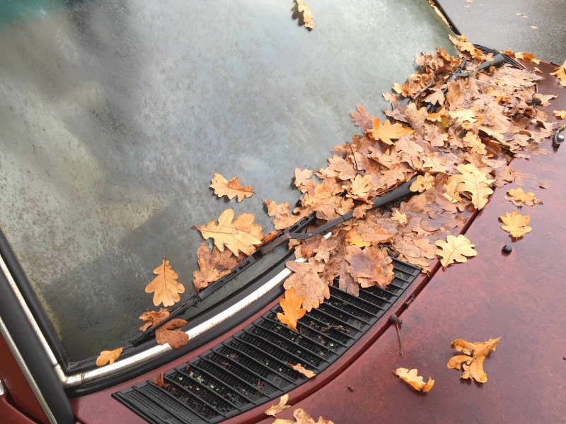 November 2017: Nach 20 Jahren tauchte ein vermisstes Auto wieder auf. Ein Mann aus Frankfurt hatte schlichtweg vergessen, wo er es 1997 geparkt hatte. Nur weil ein Gebäude abgerissen werden sollte und das Fahrzeug im Weg stand, wurde es gefunden.