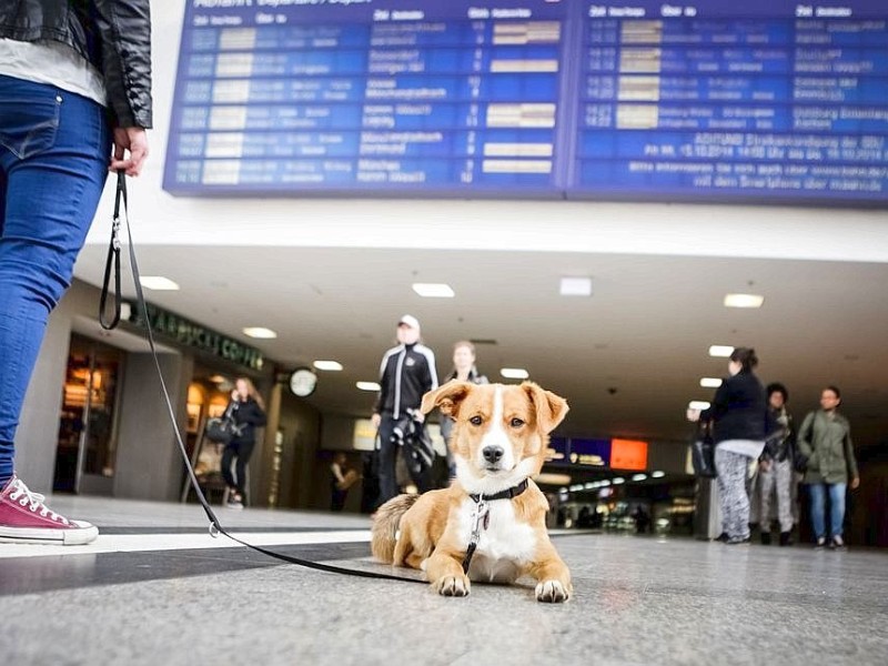 Auch am Hauptbahnhof in Duisburg fallen Mittwoch viele Züge aus.