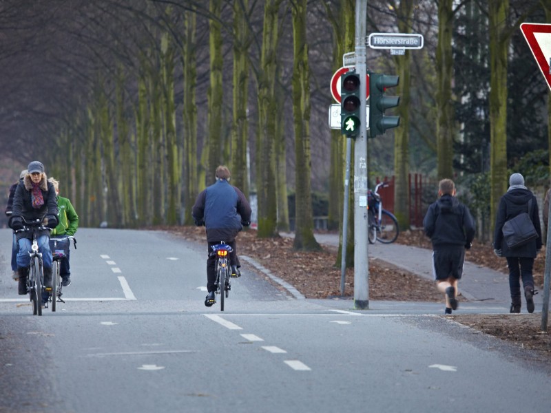 Falsch: Wenn Radwege da sind, ist es egal, auf welcher Seite man fährt. Hauptsache, man benutzt einen Radweg.

Sollte einer der Radwege wegen einer Baustelle nicht benutzbar sein, darf man den Weg auf der falschen Seite nur bei entsprechender Beschilderung benutzen. Sonst kann's bei einem Unfall teuer werden. (Oberlandesgericht Naumburg, Aktenzeichen: 1 U 74/11)