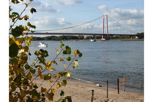 Das herrliche Herbstwetter zeigte den Niederrhein von seiner schönsten Seite Gegenüber von Emmerich am Rhein in den Rheinwiesen Rheinbrücke Emmerich - Kleve 9.10.2008 Foto Dirk Schuster