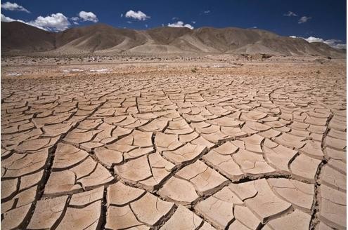 Argentinien leidet unter der Dürre. Millionen Rinder sind verendet, Weizen- und Maisfelder verdorrt. Das hat das Land bereits mehr als drei Milliarden Euro gekostet, die Steuerausfälle wurden auf 1,45 Milliarden Euro beziffert.