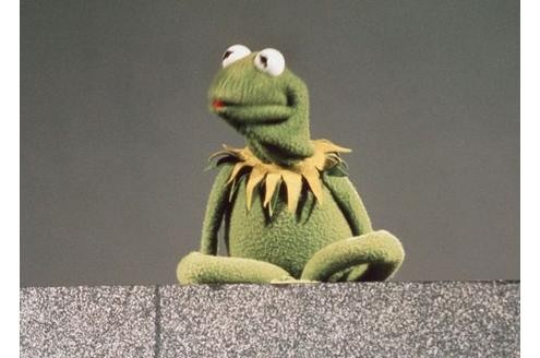 ...Kermit der Frosch,... © NDR/Sesame Workshop