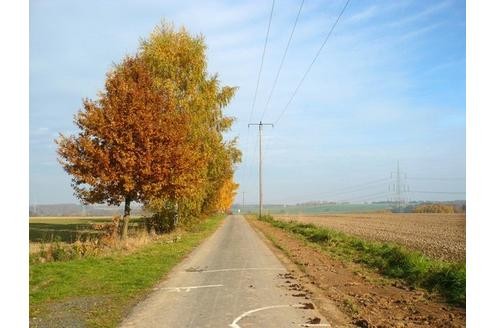 ... und den Herbst bei herrlichem Wetter genossen. Foto: davida 