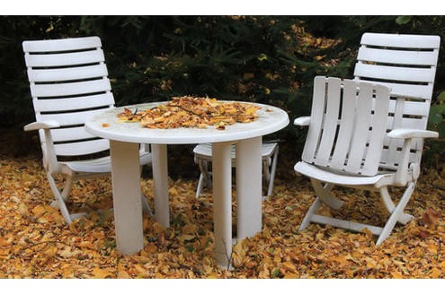 Jakaro knippste für uns die schönen Herbstblätter in ihrem Garten. Sie sagt:Good bye, Sommer.
Bild: Jakaro