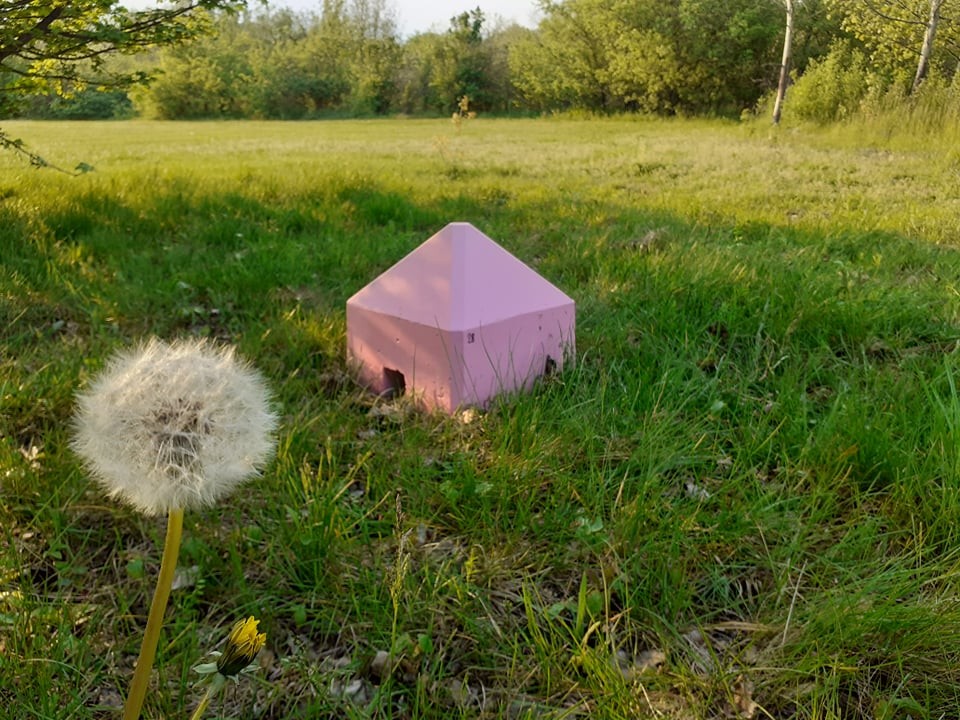 Gelsenkirchen: Die pinken Steine sind überall im Consol Park verteilt. Damit sind sie nicht die einzigen ihrer Art. 