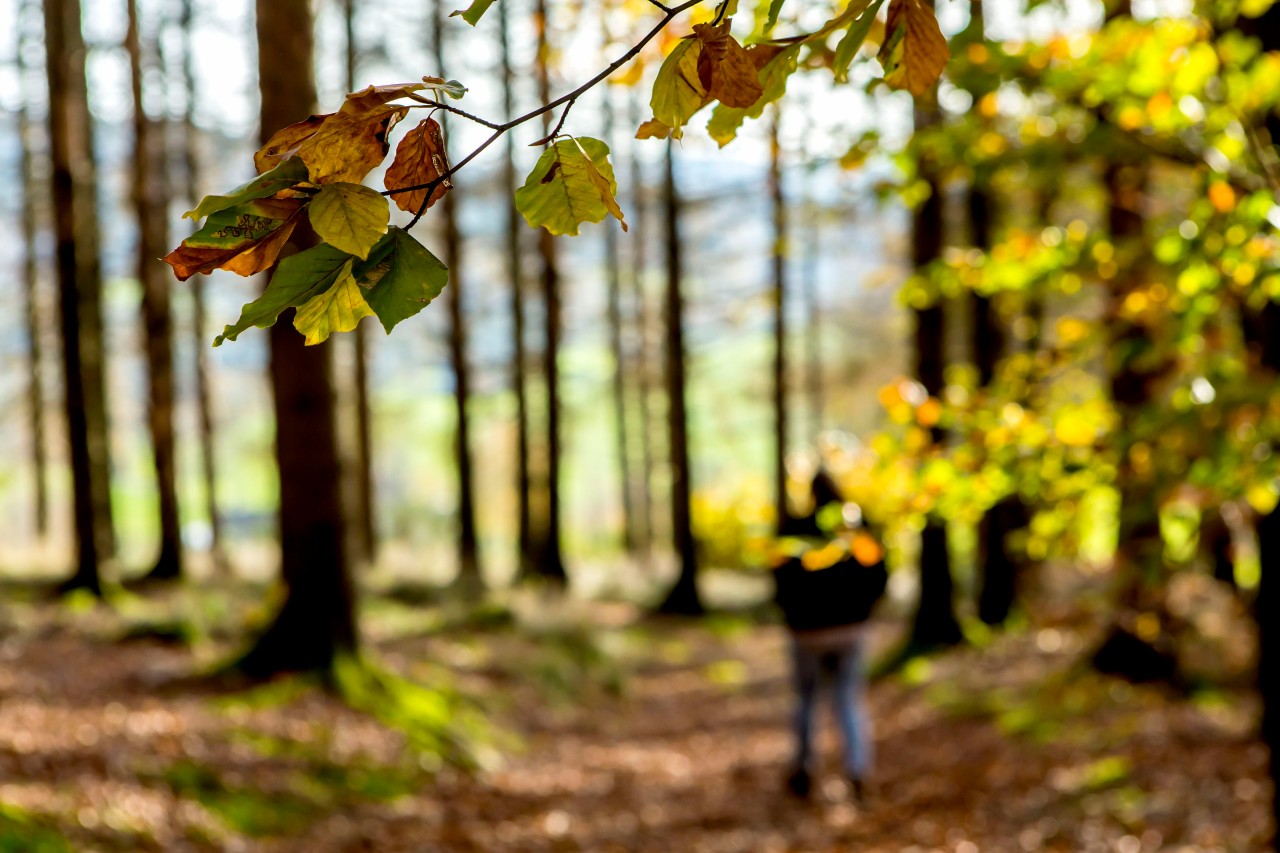 Wetter in Deutschland: Das Wochenende wird richtig sonnig. Ist das das letzte warme Wetter für dieses Jahr? (Symbolbild)