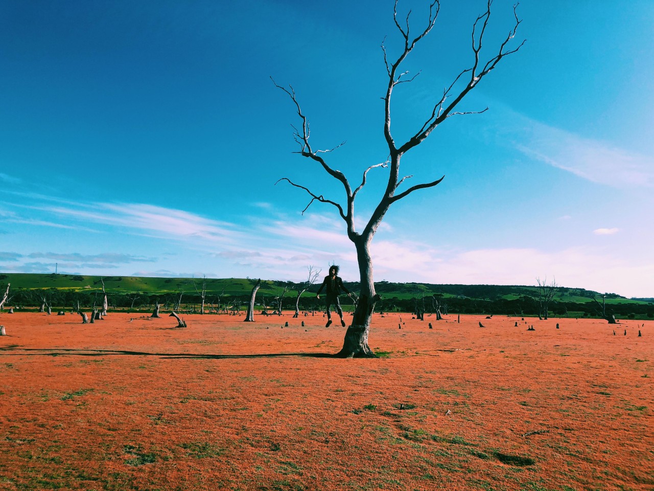 Jonathan Savkin macht ein Jahr Work & Travel in Australien.