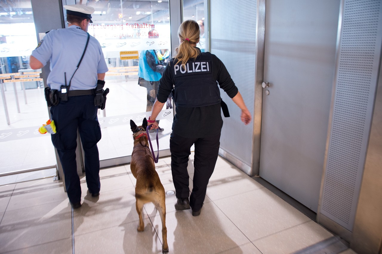 Das Flugzeug wurde mit einem Sprengstoffspürhund durchsucht. (Symbolbild)