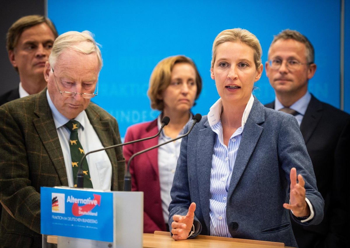 AfD.jpg