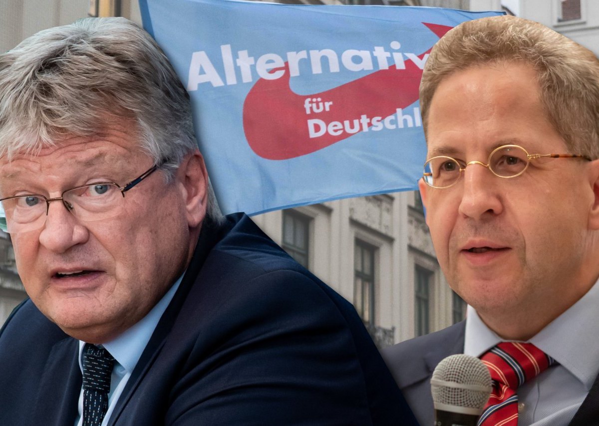 AfD Meuthen