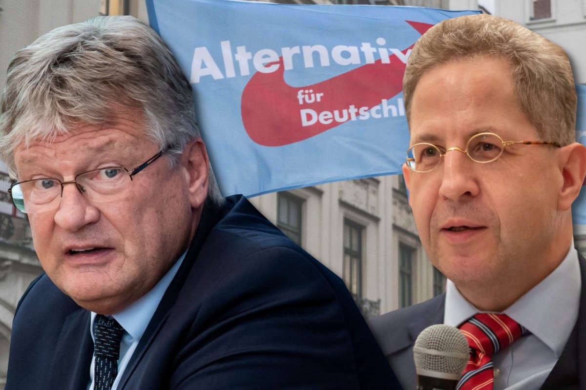 AfD Meuthen