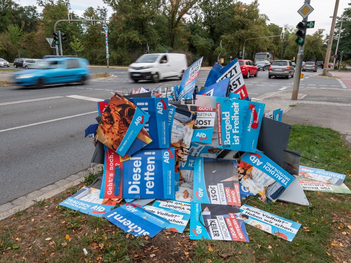 AfD-Sachsen.jpg