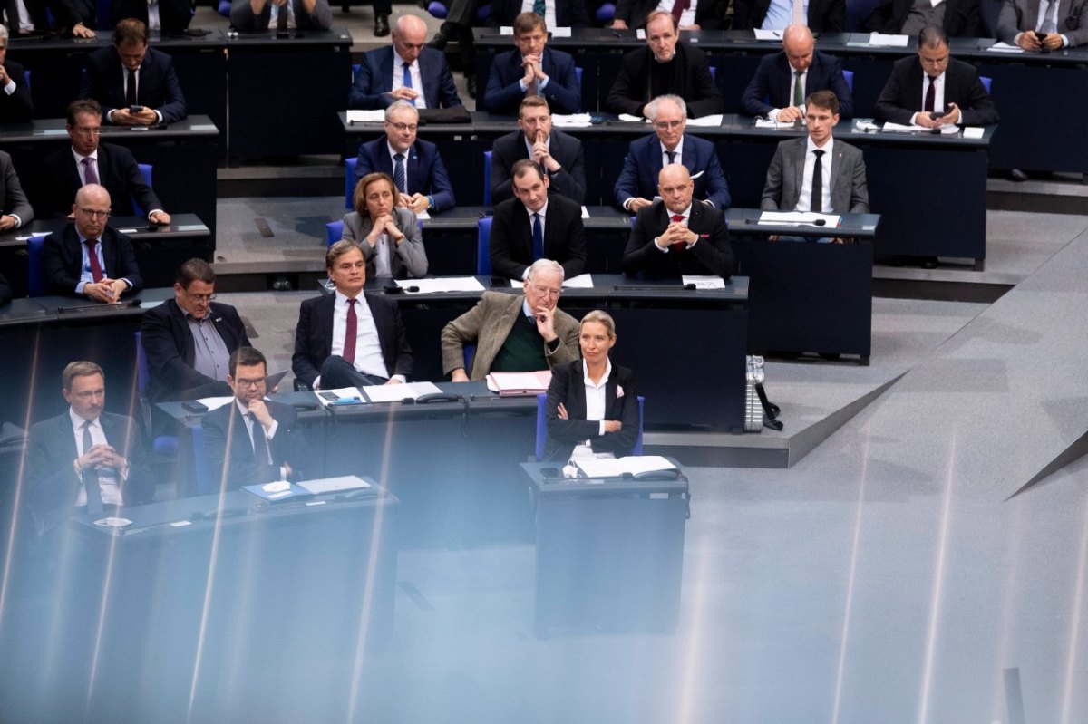 AfD im Bundestag: Mit nur einem Satz stellt SPD-Politiker die Fraktion bloÃŸ