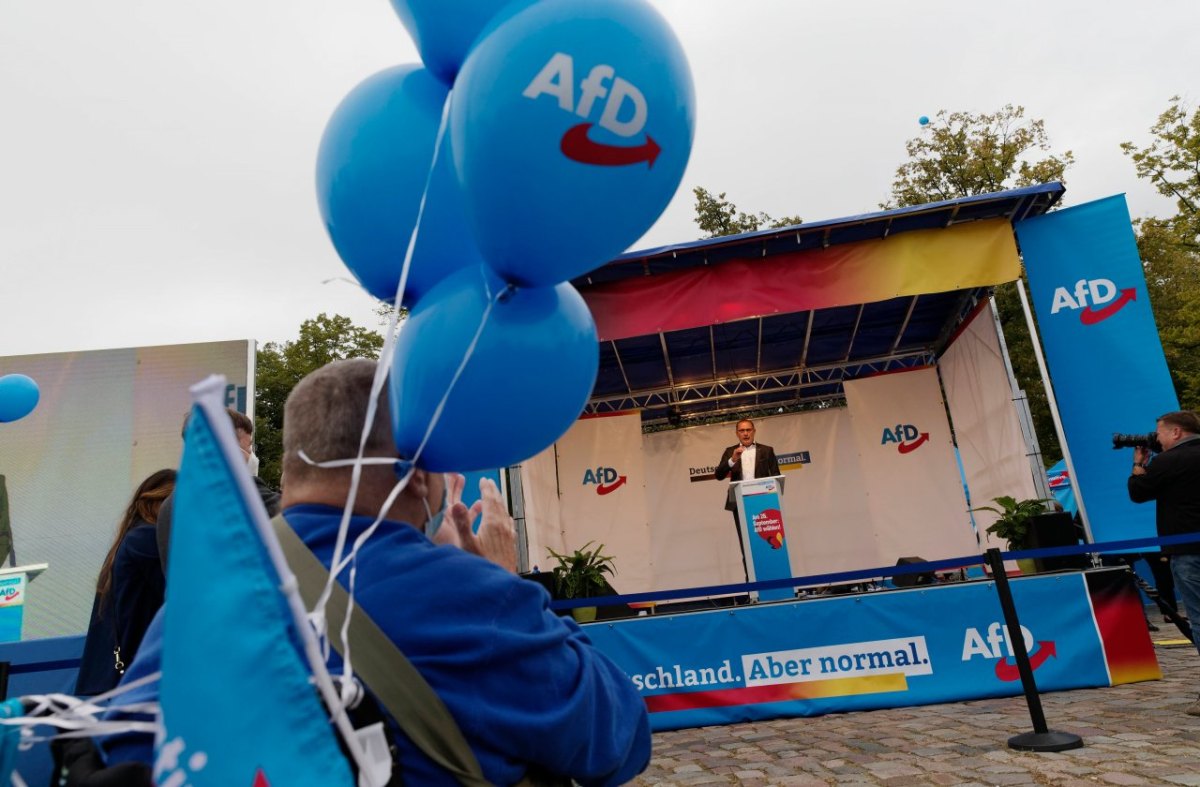 AfD1.jpg