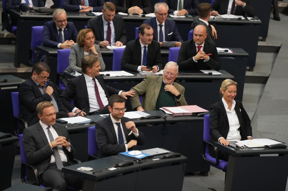 AfDBundestag.jpg