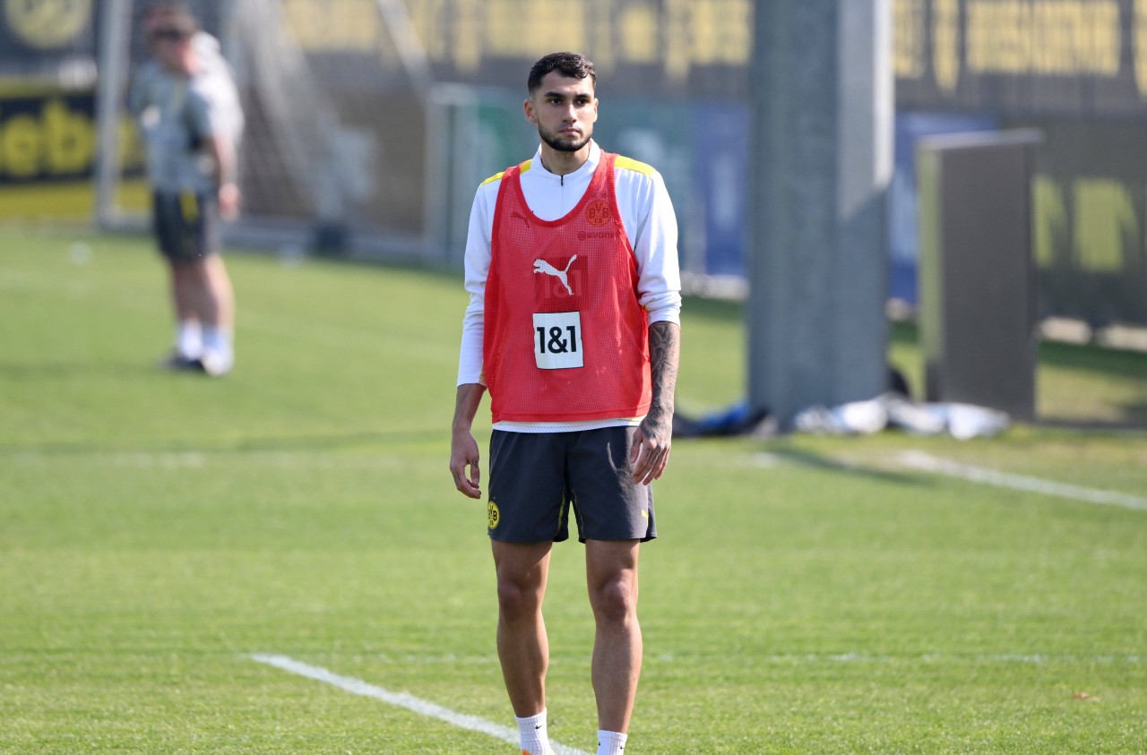 Alan Aussi ist Gastspieler bei Borussia Dortmund.