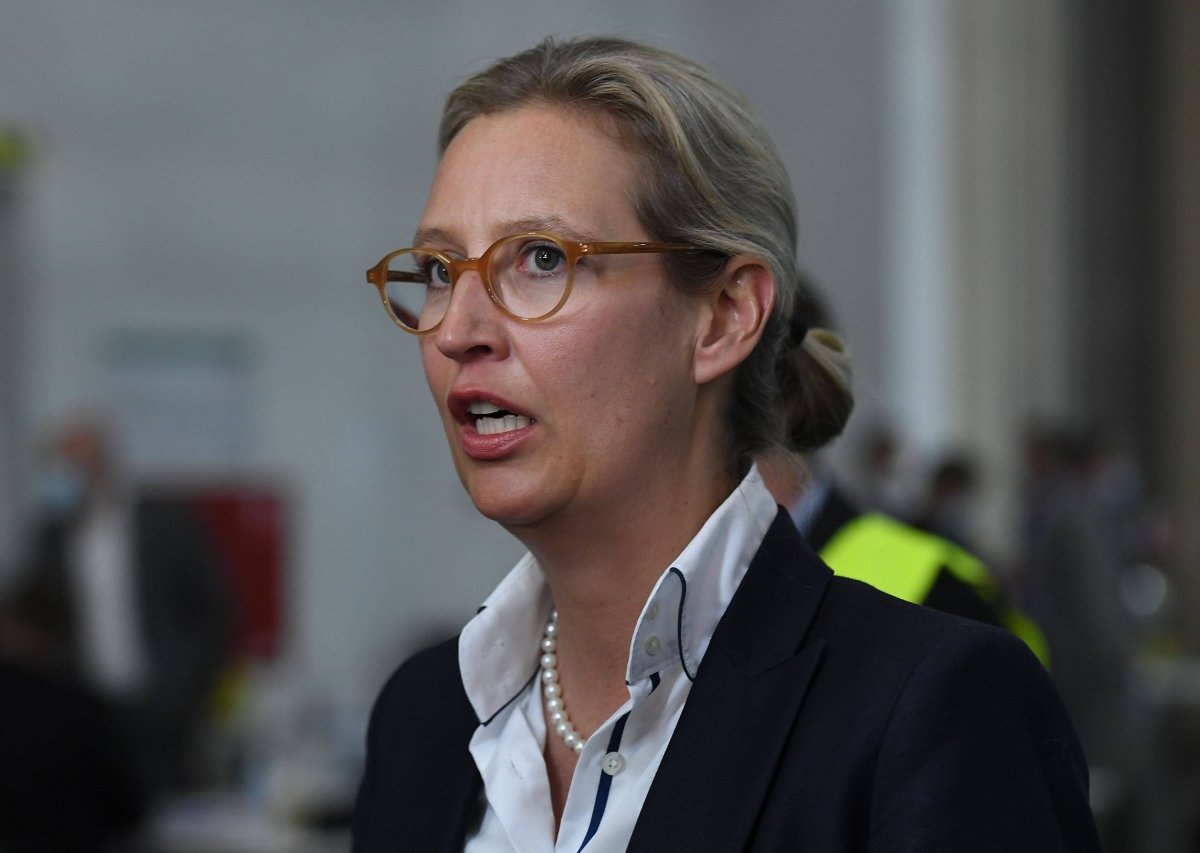 Alice Weidel.jpg