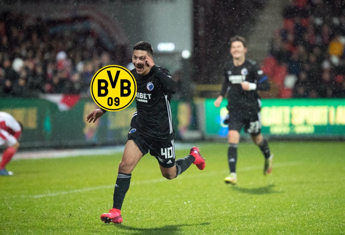 BVB Bardghji.jpg