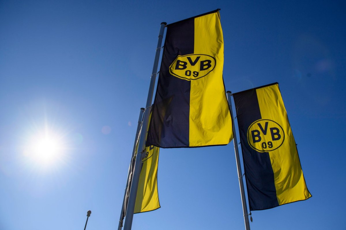 BVB Borussia Dortmund