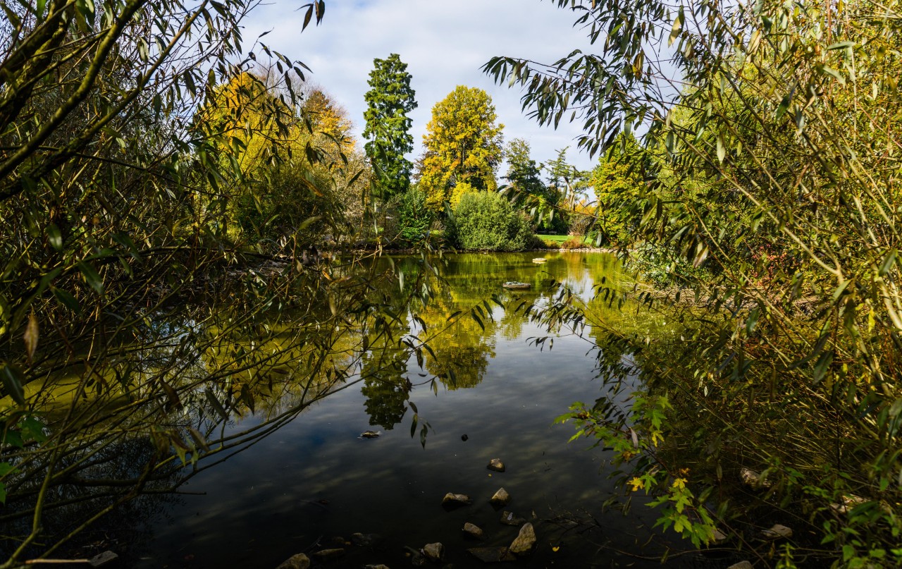 In Bochum soll es bald erlaubt sein, in ALLEN Parks Fahrrad zu fahren – auch im Stadtpark von Wattenscheid. (Symbolfoto)