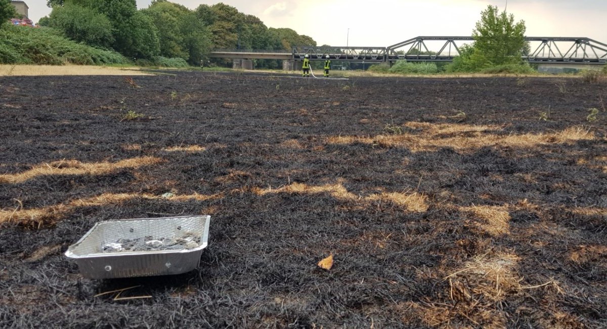 Brand Mülheim Wiese Ruhr.jpg