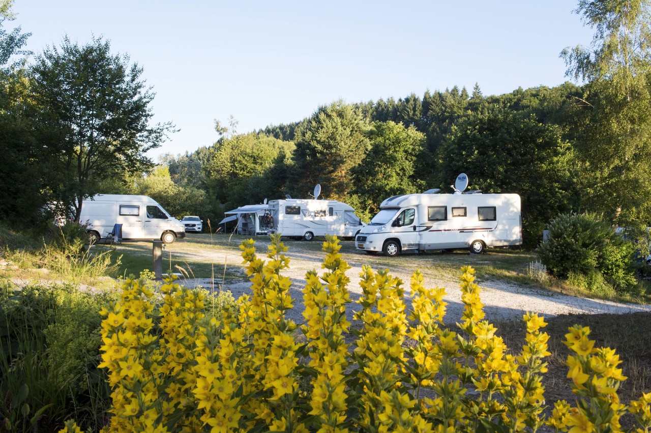 Urlaub auf dem Campingplatz: Eine Familie wurden von einem Camping-Platz geschmissen. (Symbolbild)