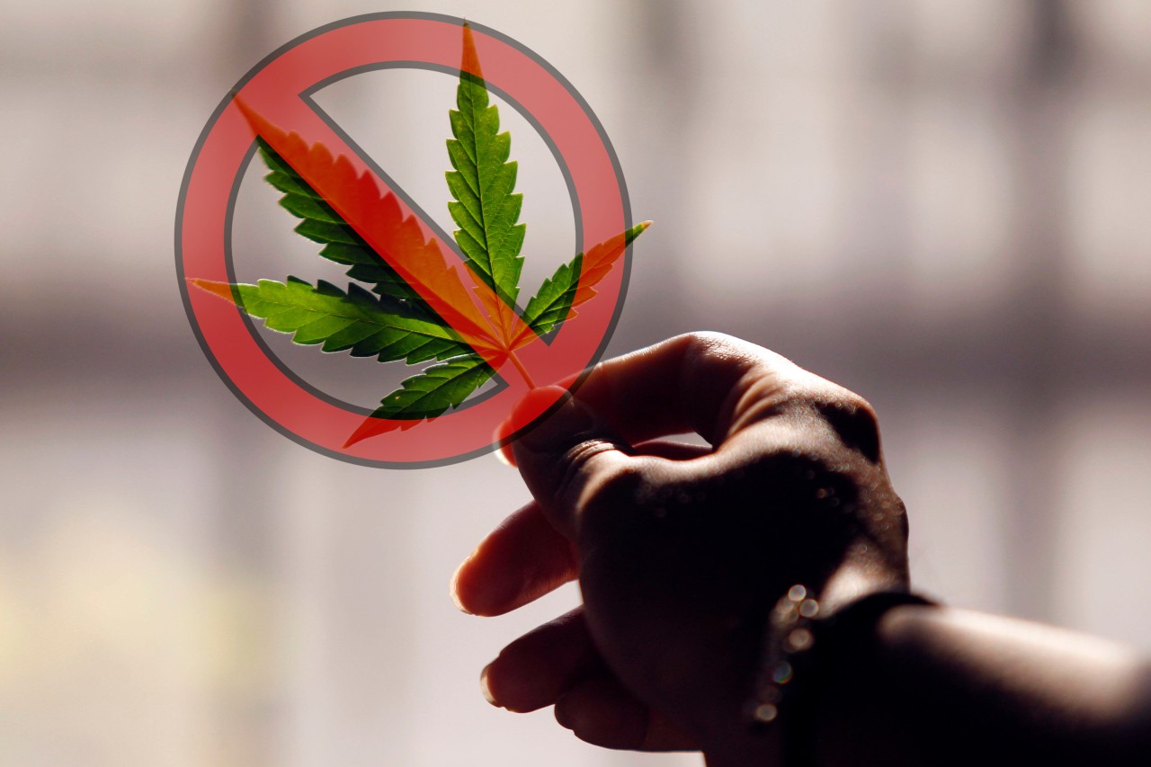 Cannabis: Ampel-Drogenbeauftragter redet an Führerschein-Problem vorbei (Symbolbild). 