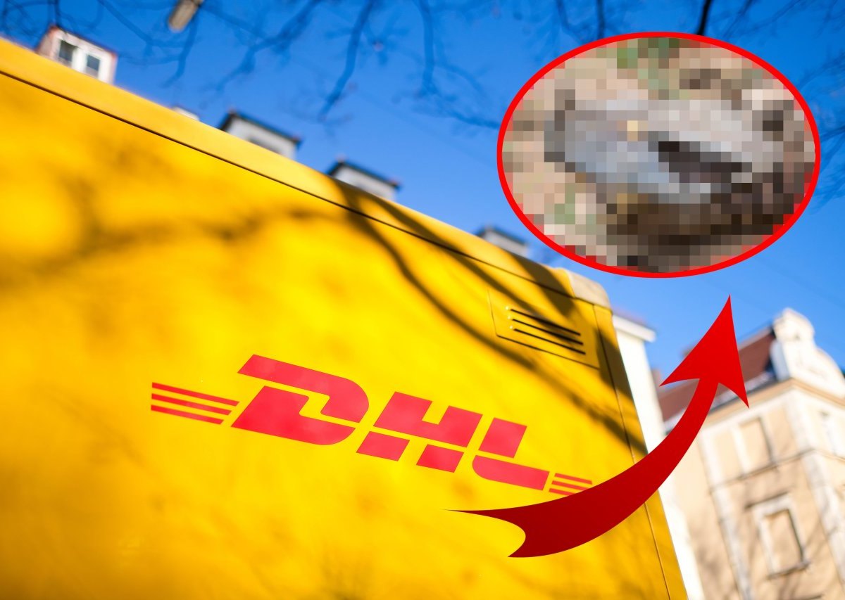 DHL: Schock-Fund in Paket – „Es wurde kurz still“