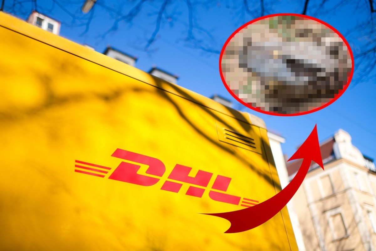 DHL: Schock-Fund in Paket – „Es wurde kurz still“