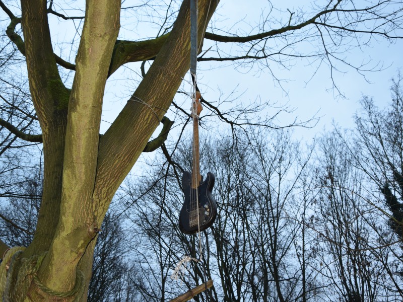 Musik im Baum.