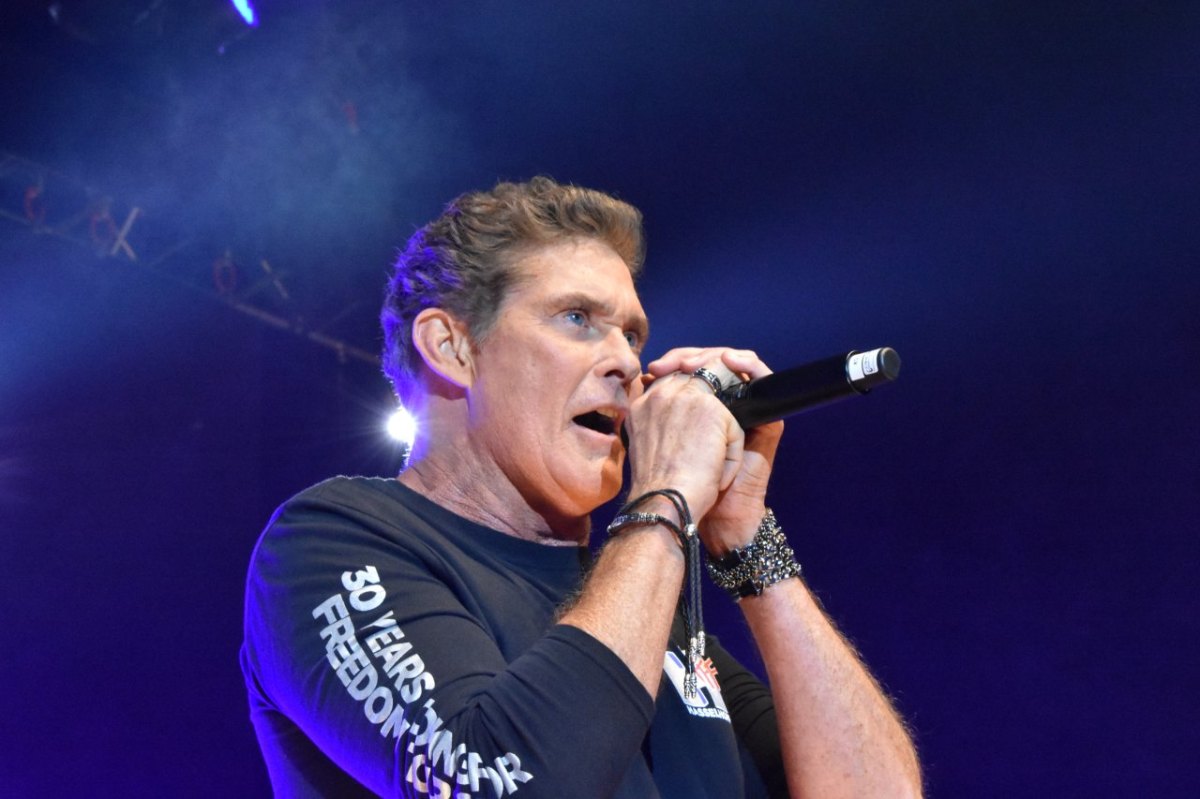 DavidHasselhoff.JPG