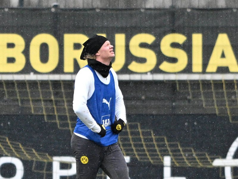 Erling-Haaland