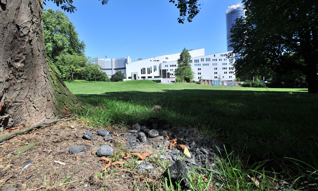 Die Stadt Essen will wildes Grillen verhindern. (Archivbild)