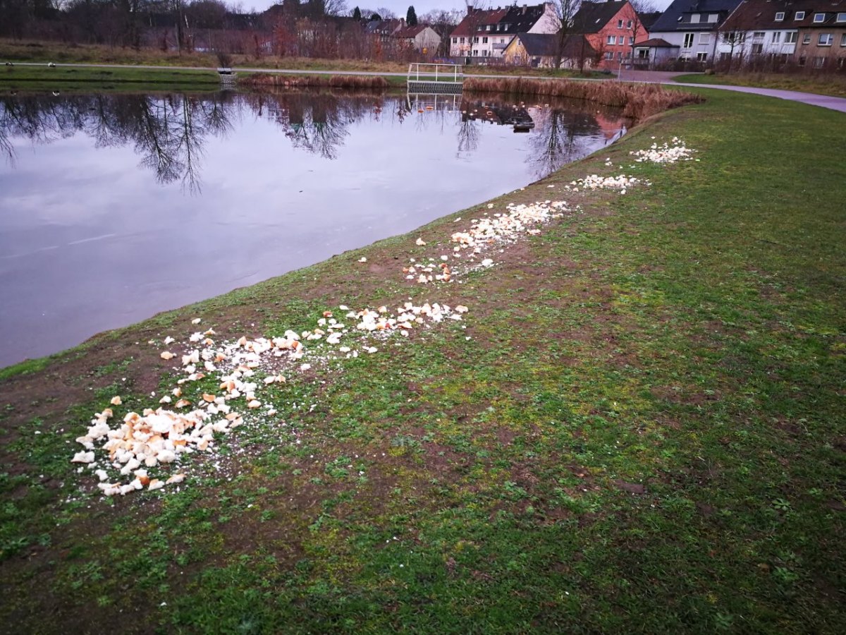 Essen-Brot-Park.jpg