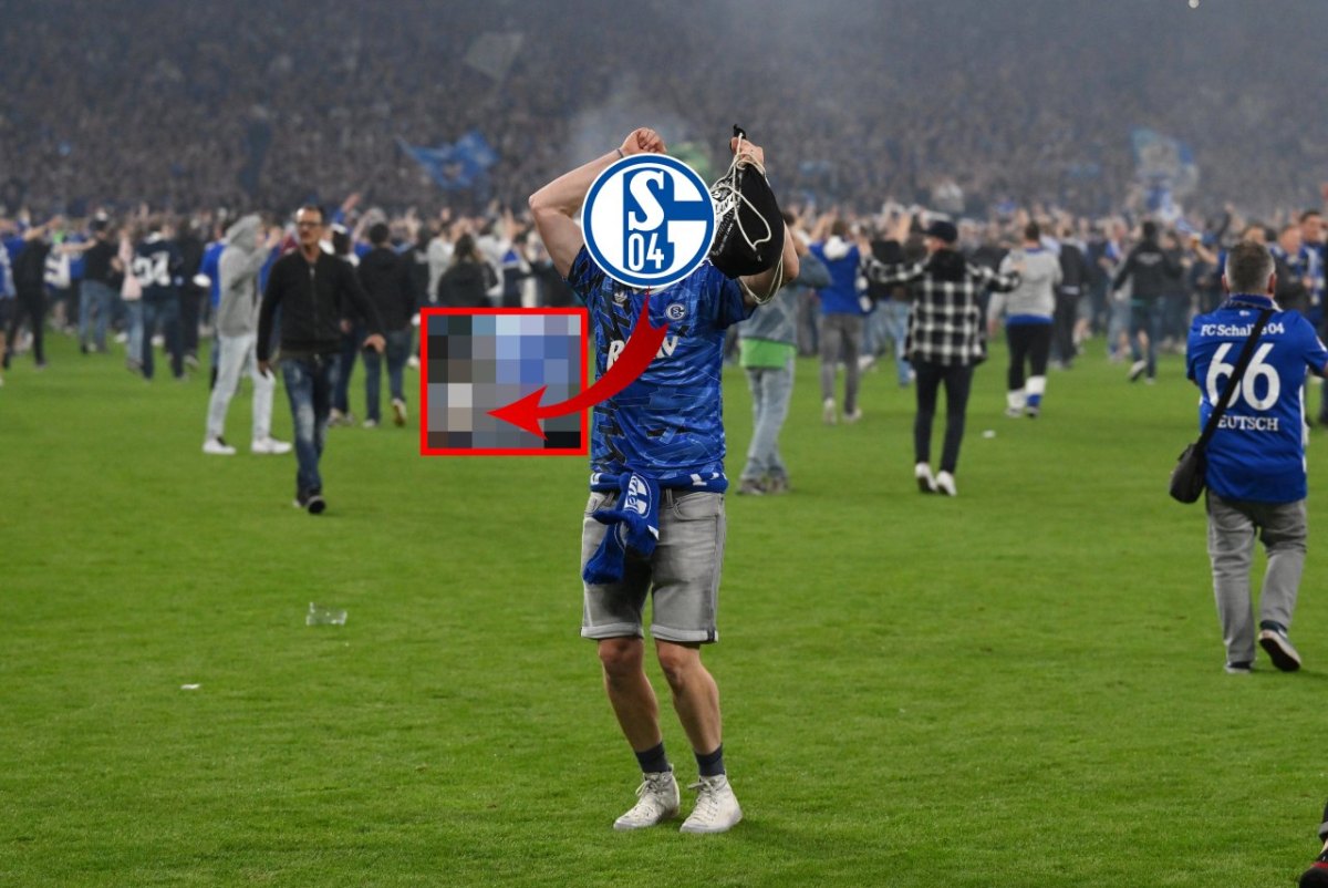 FC-Schalke-04-Fanrad